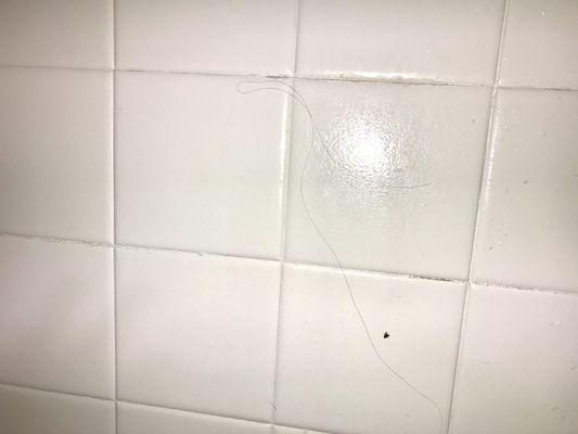 Hairs on shower wall