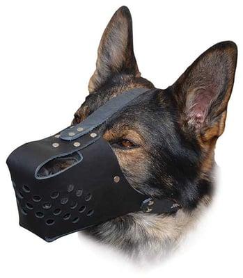 RAMLite leather muzzle.