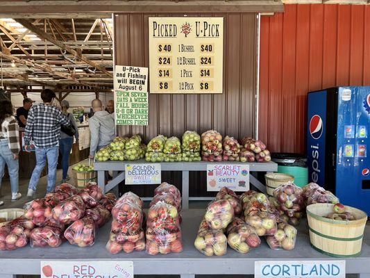 Apples for sale