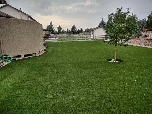 Learn about the many benefits of artificial grass.