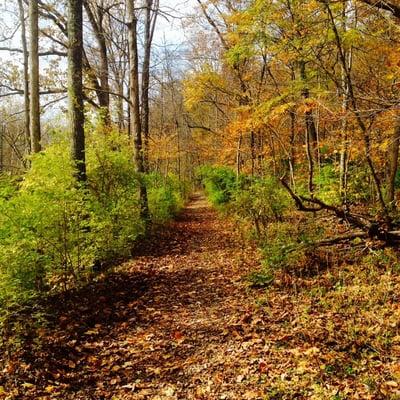 Beautiful hiking trails