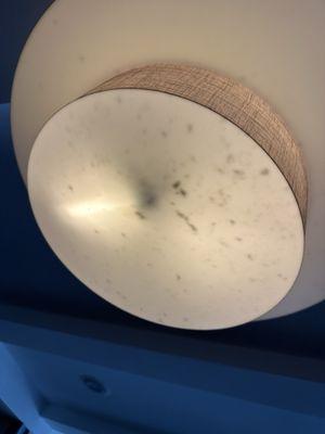 Dead bugs in the lighting fixture.