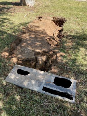 2 feet deep holes surround our graveside 4 months after burial