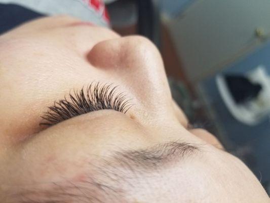 Classic natural lashes