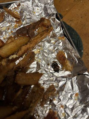 bug in the fries!