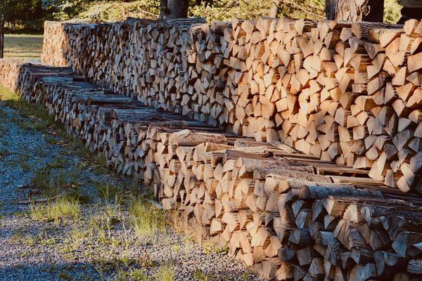 Forest Products Firewood