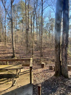 Behind the cabin, assuming this is where the grill should be