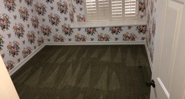 Carpet Cleaning