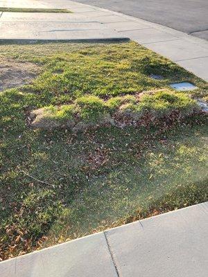 Contractor left it like this. Grass is now 4-8 inches above the grade.