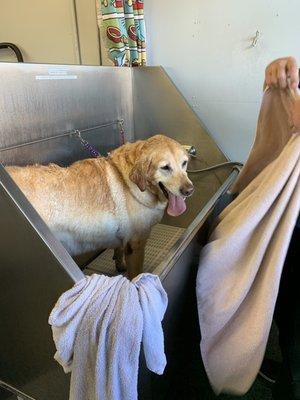 Big wash tubs that the dogs can walk up in to.