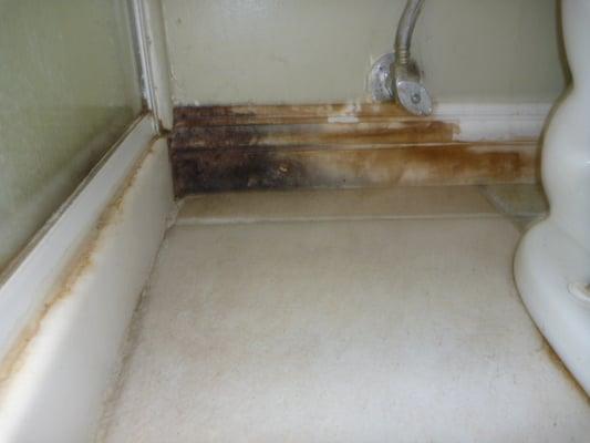 A small leak that was overlooked for a long time caused mold and water damage in the rooms below.