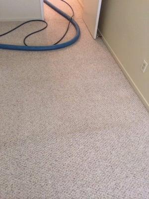 Valley Carpet Cleaning