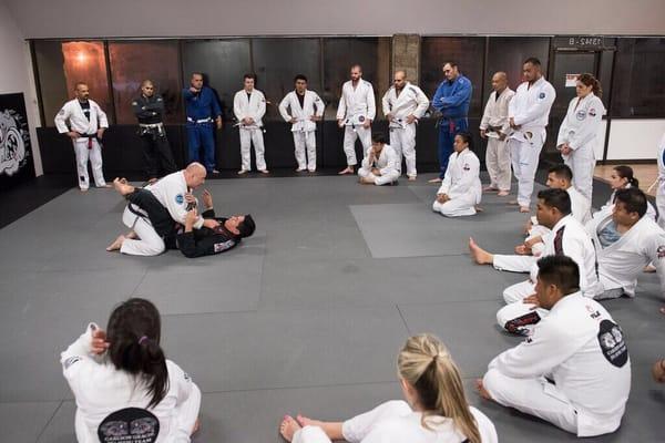 Carlson Gracie Jr. Seminar