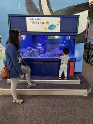 Fish tank