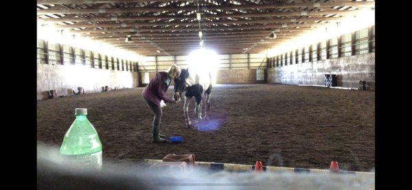 Great indoor arena!!! Nice footing and SPRINKLER system to keep the dust down. LOVE!!