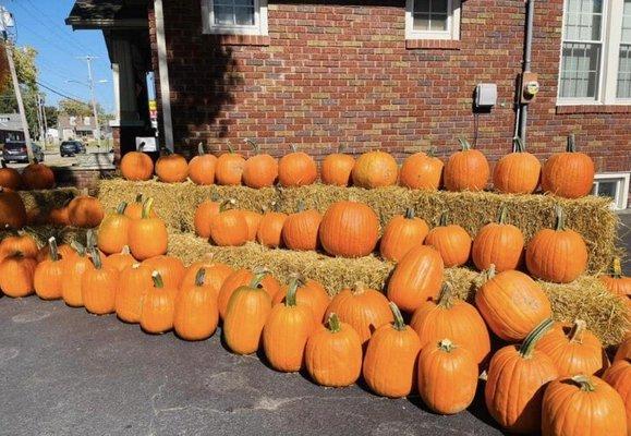 Farmer's Market