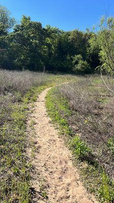 Hiking trail