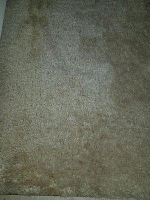 Stains gone after 2nd company cleaned