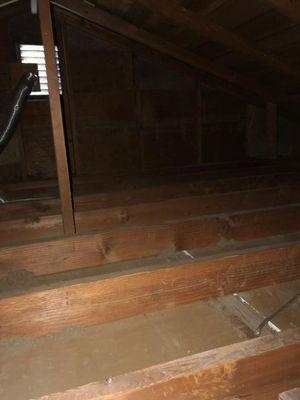 Very important to clean the attic completely from old insulation before installing new