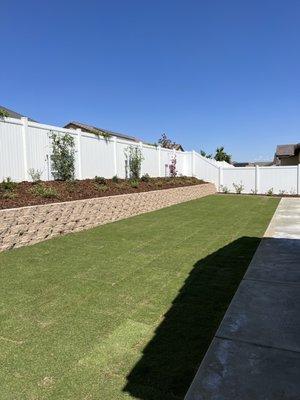 Newly landscaped backyard.