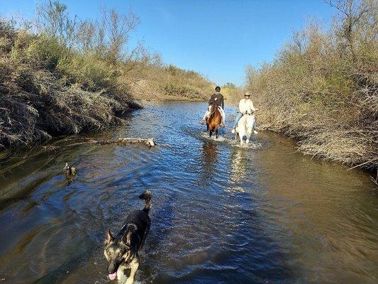 Trail ride with Desert Horse Adventures