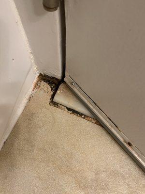 Rusty looking mold in bathroom-no exhaust fan