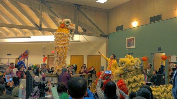 White Lotus Dragon & Lion Dance putting on a stunning show for Chinese Lunar New Year 2017 Event at Holgate Library, Portland, Oregon