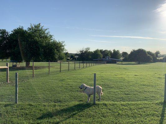 Alpaca area.