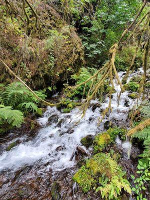 Wahkeena Falls