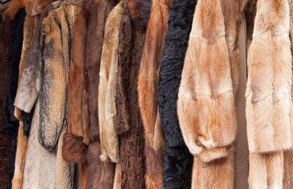 Fur Dry Cleaning