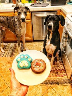 Cash and June turned 1!