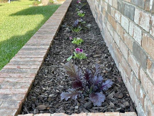 Transform your flowerbeds!