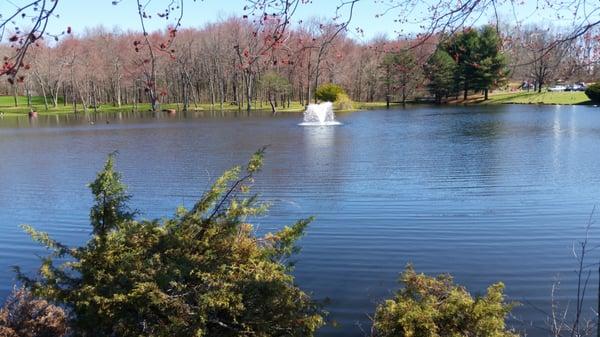 Fountain.