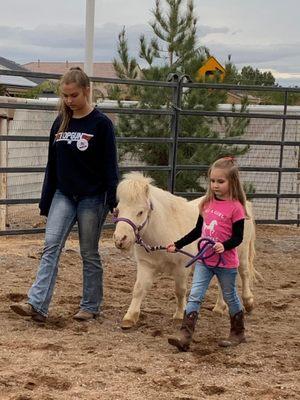 Youth horsemanship sessions at the ranch.