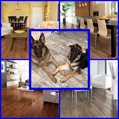 Pet Approve flooring "In-Stock"