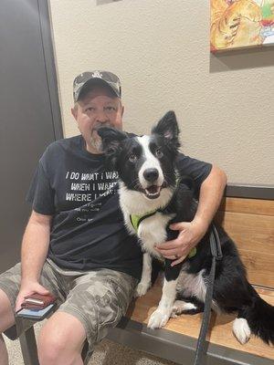 Boduke the border collie in the Exam room