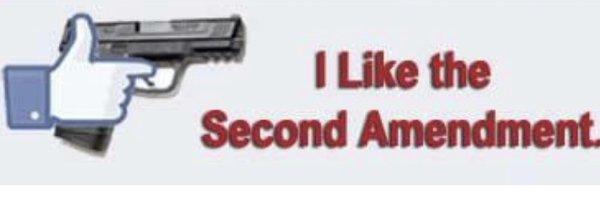 I like the Second Amendment!