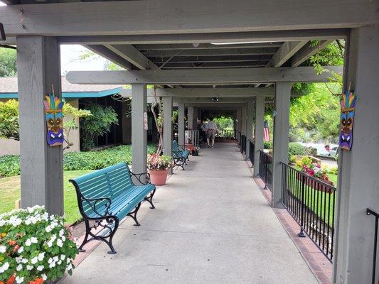 The front walkway covered by a trellis of wisteria.