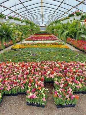 one of many floral greenhouses.  selling fast