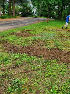 damaged front yard.  the pools out back?