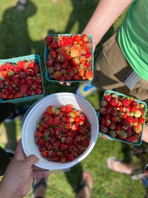 Monroes Orchard & Farm Market