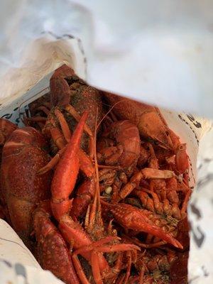 Crawfish boil out front. Pretty small, but taste good. }:{