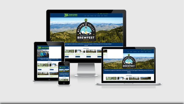 Any size website project we can help with. Just give us a call!