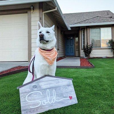 Picture of our pup, Winter, at our new home.