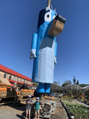 Giant Bluey!!