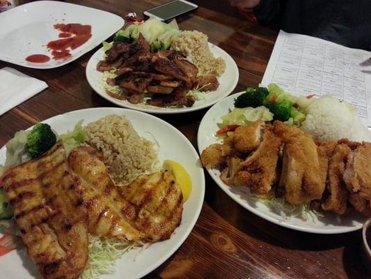 Grilled mahi mahi, chicken, and katsu