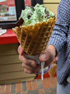 Regular Mint Chocolate Chip in a Waffle Cone