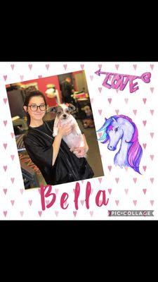 Bella groomed by Laura