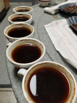 Quality control is key. Here we are at the cupping table.