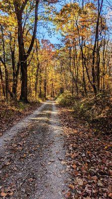 Walking Nichol road to Hoak Field